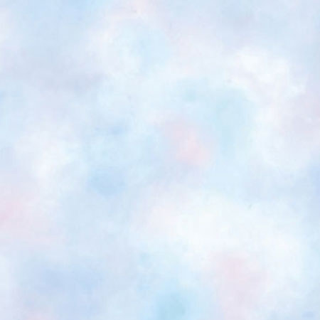 Studio Dynamics Background, Canvas 7 x 8' - Sherbet