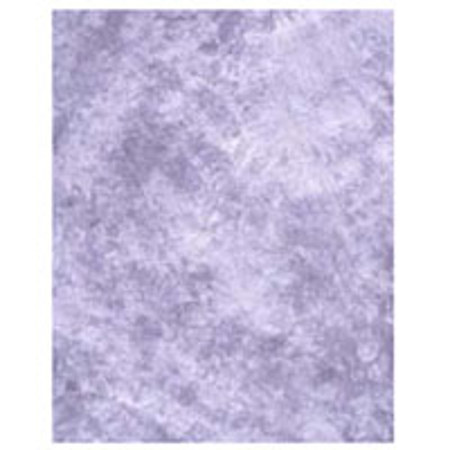 Studio Dynamics Designer Series 10' x 10' Muslin Background, Spring Pearl.