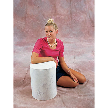 Studio Dynamics Designer Series 10' x 20' Muslin Background, Roseworthy.