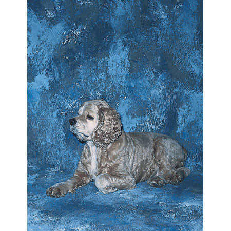 Studio Dynamics Europa Series 10' x 10' Muslin Background, Lucern.