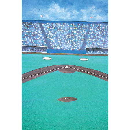 Studio Dynamics Sports Scenic Series 10' x 20' Muslin Background, Baseball.