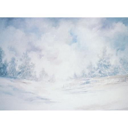 Studio Dynamics General Scenic Series 10x20' Muslin Background, Timeless # 3.