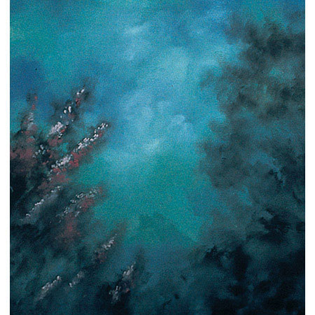 Studio Dynamics General Scenic Series 10x20' Muslin Background, Twilight Floral.