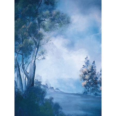 Studio Dynamics General Scenic Series 10' x 20' Muslin Background, Windridge.