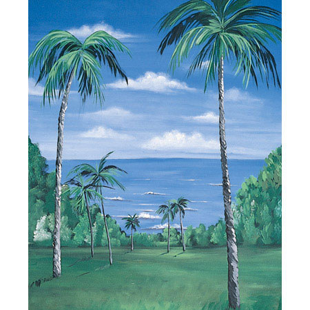 Studio Dynamics General Scenic Series 10' x 20' Muslin Background, Nassau.