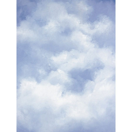 Studio Dynamics General Scenic Series 12' x 12' Muslin Background, Cloudy Sky.