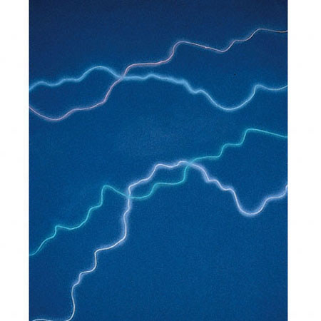 Studio Dynamics General Scenic Series 12' x 12' Muslin Background, Lazer Dance.