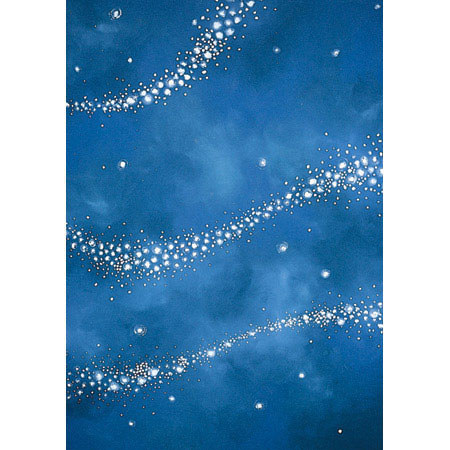 Studio Dynamics General Scenic Series 12' x 12' Muslin Background, Star Dust.