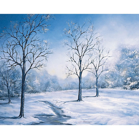 Studio Dynamics General Scenic Series 12' x 12' Muslin Background, Winter Morn.