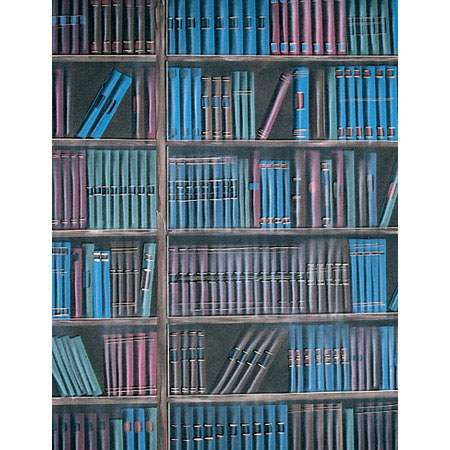 Studio Dynamics General Scenic Series 12x24' Muslin Background, Bookcase # 2.