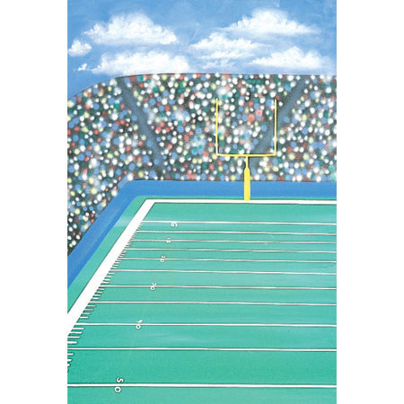 Studio Dynamics Sports Scenic Series 12' x 24' Muslin Background, Football.