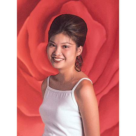 Studio Dynamics General Scenic Series for Gels, 12x24' Muslin Background, Gray Rose.