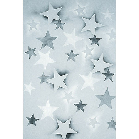 Studio Dynamics General Scenic Series for Gels, 12x24' Muslin Background, Gray Stars.