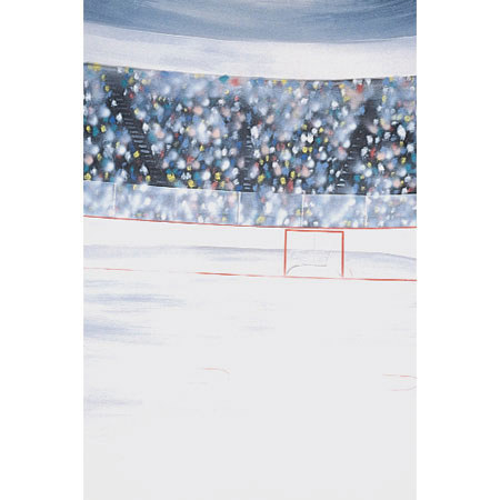 Studio Dynamics Sports Scenic Series 12' x 24' Muslin Background, Hockey.