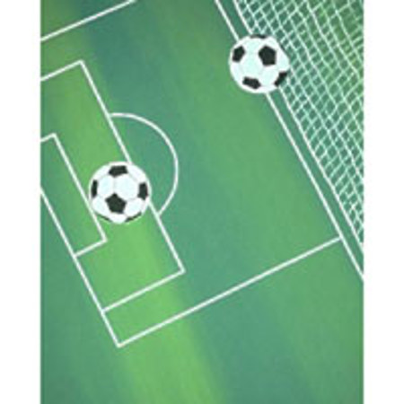 Studio Dynamics Sports Scenic Series 12x24' Muslin Background, Soccer Equipment.