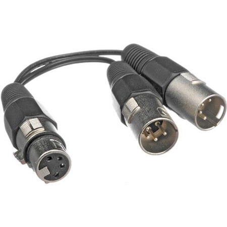 Bescor 5' 4-Pin XLR Female to Dual 4-Pin XLR Male Y Cable