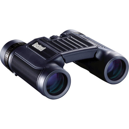 Bushnell H20 8x25 Waterproof Roof Prism Binocular, Black