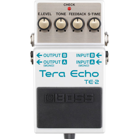 BOSS Tera Echo