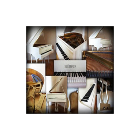 Best Service Galaxy II German Baby Grand Virtual Instrument, Download