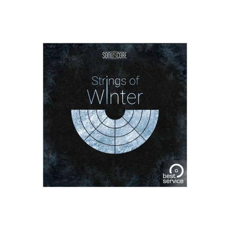 Best Service Strings of Winter Virtual Instrument, Download