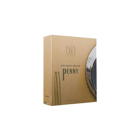 Best Service Boutique Drums Penny Virtual Instrument, Download