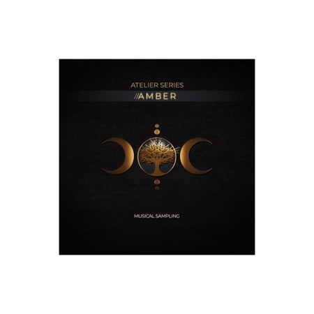 Best Service Atelier Series Amber Virtual Instruments, Download