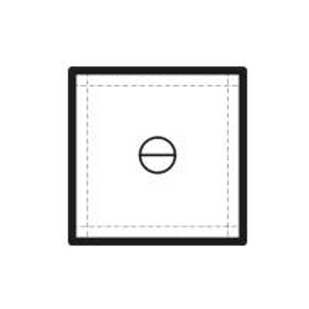 Beattie IntenScreen for Hasselblad 500CM Horizontal Split Image w/8x10 format lines