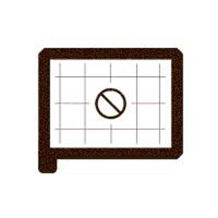 Beattie IntenScreen for Nikon F5 with Diagonal Split Image & Grid #82185