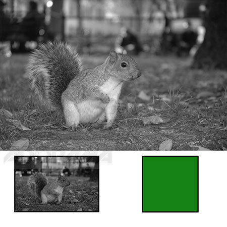 B + W 67mm #060 Glass Filter - Yellow/Green #11