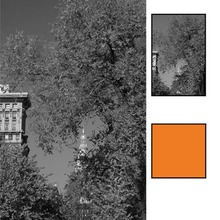 B + W 72mm 041 Slim Mount Filter, Red/Orange 22