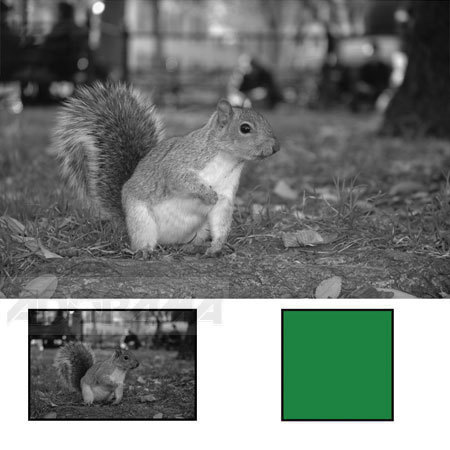 B + W 82mm 060 Slim Mount Filter, Yellow/Green 11