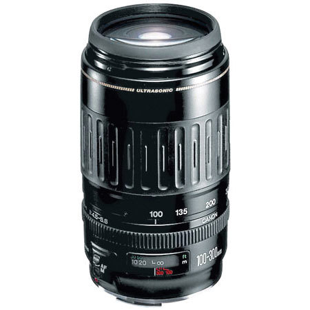 Canon EF 100-300mm f/4.5-5.6 USM AF Tele Lens, Gray Mrkt