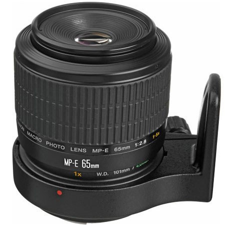 Canon MP-E 65mm f/2.8 1-5x Macro Lens, Refurb