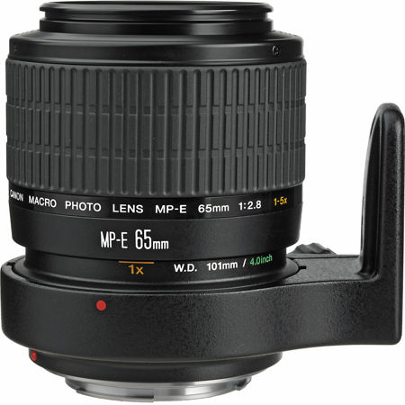 Canon MP-E 65mm f/2.8 1-5x Macro Photo Manual Focus Telephoto Lens.