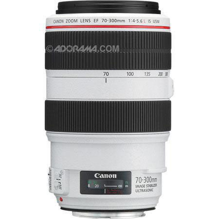 Canon EF 70-300mm f/4-5.6L IS USM Lens, Gray Market