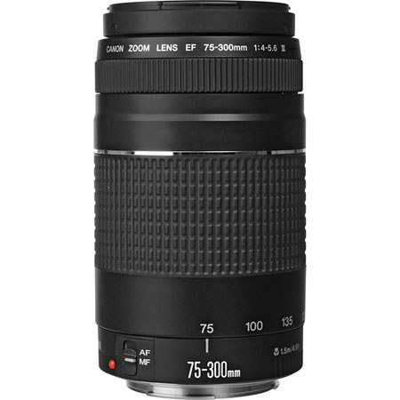 Canon EF 75-300mm F/4-5.6 III Lens, Gray Market