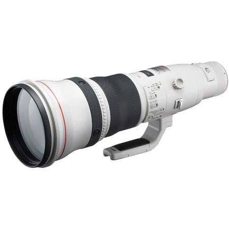 Canon EF 800mm f/5.6L IS USM Lens - Gray Market