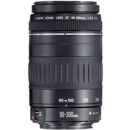 CANON ZOOM LENS EF 90-300mm1:4.5-5.6 USM
