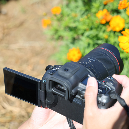 Canon RF 14mm f/1.4 L VCM Lens 7427C002