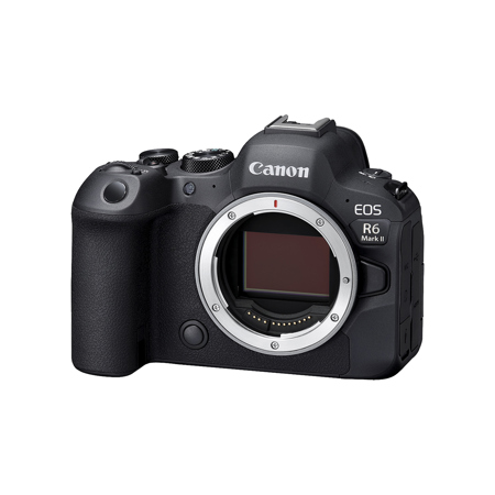  Canon EOS R6 Mark II Mirrorless Camera (Body Only) Enhanced  with Professional Accessory Bundle - Includes 14 Items, Black : Electronics