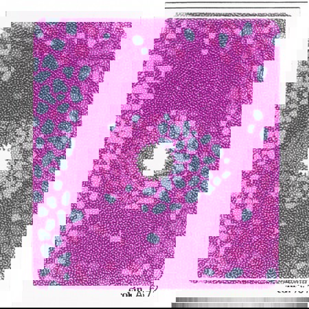 Cokin A672 Pink/Blue Center Spot Bicolor Filter A-Series