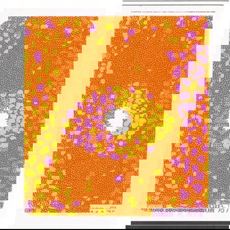 Cokin A673 Yellow/Pink Center Spot Bocolor Filter A-Series