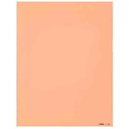 Cokin XP29 Orange Convertion/Warming Filter (85A) X-Pro Series