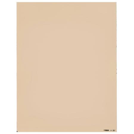 Cokin X037 81EF Warm, Light Balancing Color Conversion Warming Filter, Fits Cokin X-Pro Series Holder