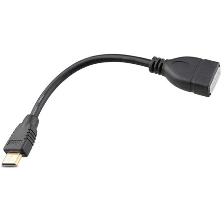 CAMVATE 6" HDMI Mini Type-C Male to HDMI Type-A Female Adapter Cable