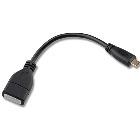 CAMVATE Micro-HDMI Male to HDMI Female Adapter, 6"