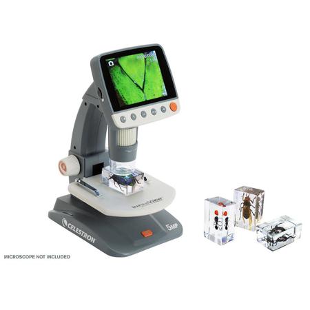 Celestron 3D Bug Specimen Kit #5