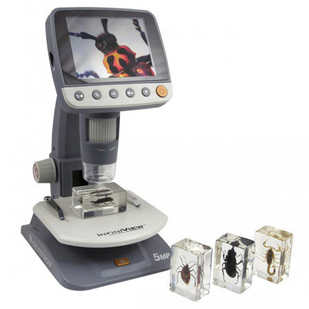 Celestron Bug Specimen Kit #1
