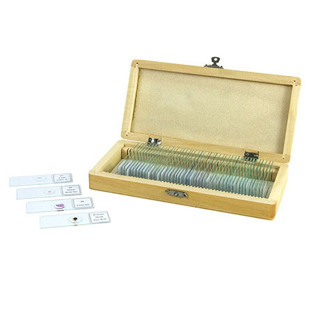 Celestron Prepared Slides for Microscope, Set of 50
