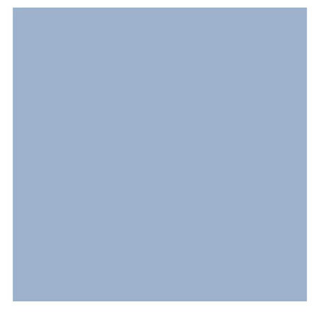 Cool-Lux 5600K Daylight Filter Daylight Balanced for Mini-Cool Video Light